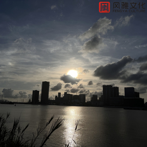 男人舔摸女人阴道视频啊啊叫
